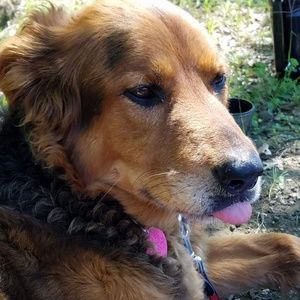 Meet your Posher, Eva